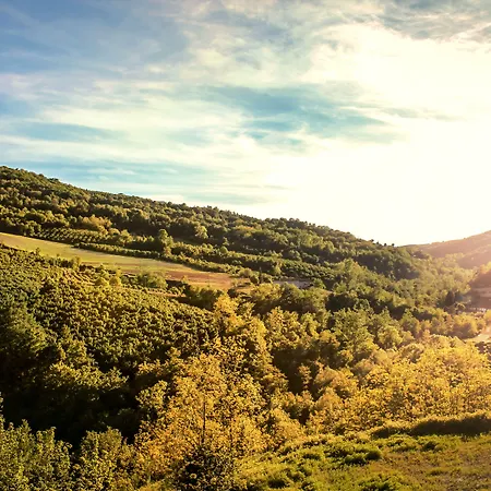 Le Stanze Della Musica Πανσιόν 4*